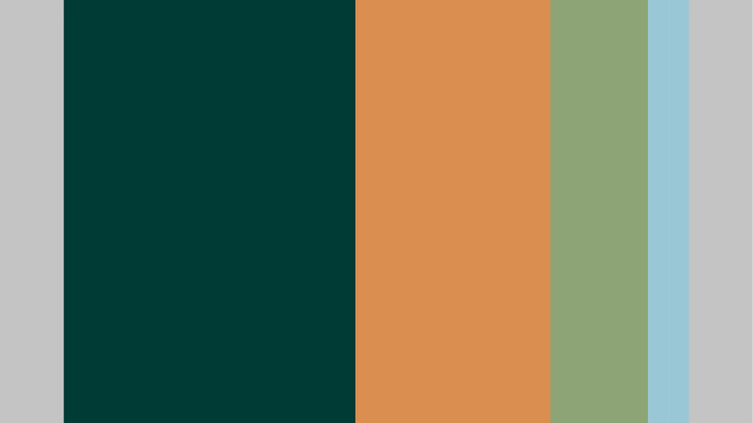 color palette